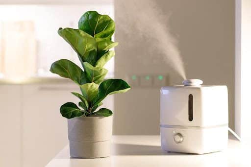 An air humidifier sits on the table in a home in Caseyville, IL, with a mist of water emitting towards a houseplant.