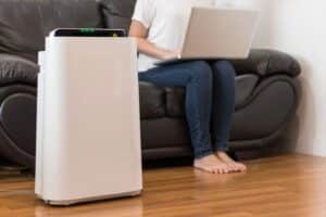 In home air purifier for homeowners with pets in Belleville, Illinois